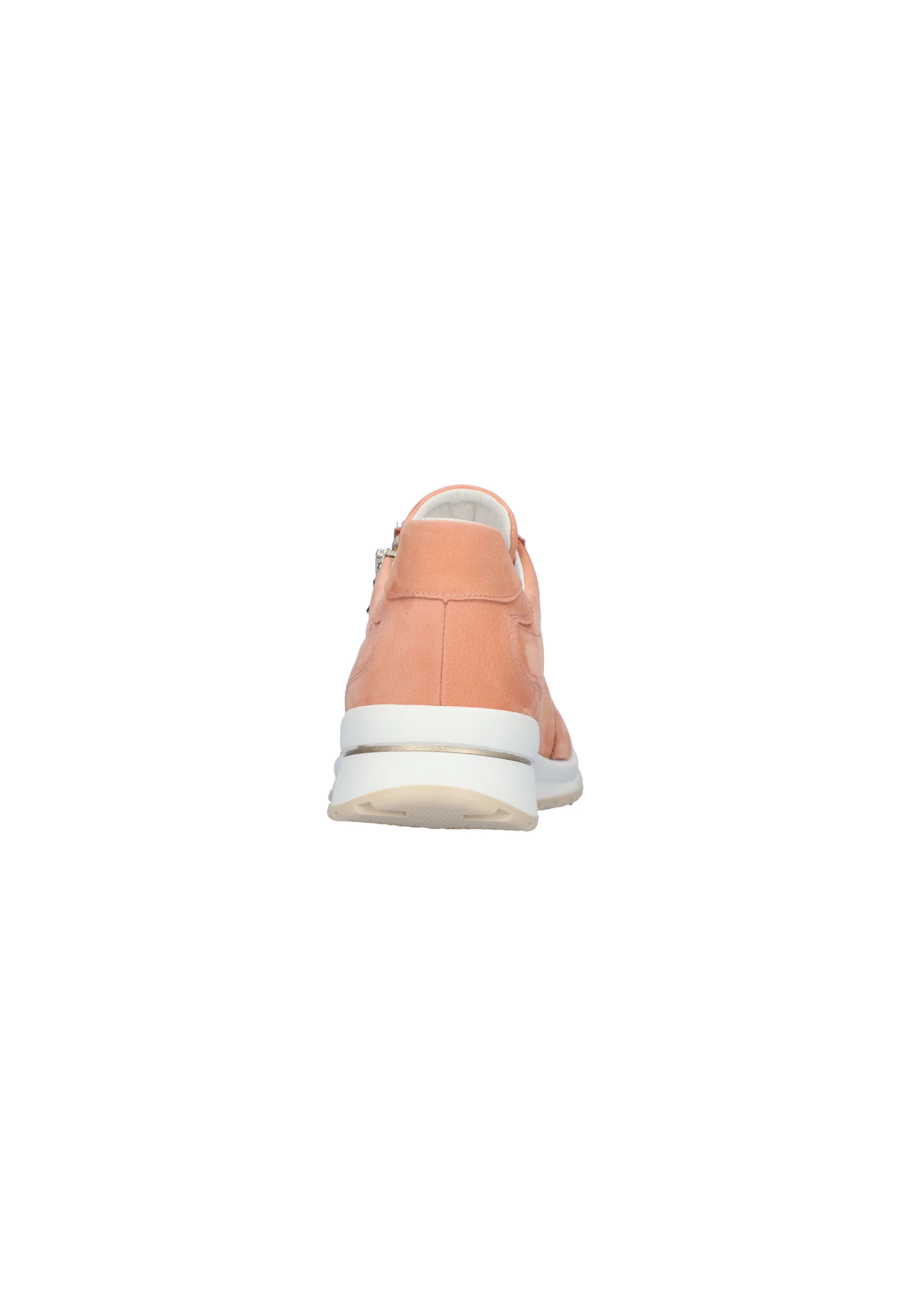 H-Inessa melon - Image 6